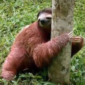 Meet your Posher, Khalida